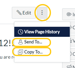 By clicking on the three dots beside the edit button, you get the options to send to or copy to